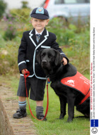Labrador trained to detect diabetic attacks, Kent, Britain - 08 Sep 2008
