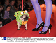 Pet a Porter Fashion Show at Harrods, London, Britain  - 25 Sep 2008