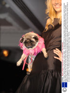 Pet a Porter Fashion Show at Harrods, London, Britain  - 25 Sep 2008