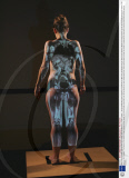 MRI scan projected onto the back of a model, Science Museum, London, Britain  - 06 Oct 2008