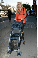 Soon-to-be mom TORI SPELLING shopping with her cute pug in a dog-stroller
