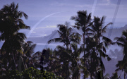 FALEALUPO BAY, SAVAII ISLAND, SAMOA WESTERN, POLYNESIA