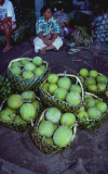 BREADFRUIT, MARKET, APIA CITY, UPOLU ISLAND, SAMOA WESTERN, POLYNESIA