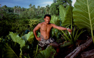 GIANT TARO, PLANTATION, FALEALUPO VILLAGE, SAVAII ISLAND, SAMOA WESTERN, POLYNESIA