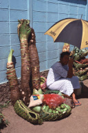 VEGETABLE MARKET, GIANT TARO, CAPITAL NUKU ALOFA, TONGATAPU GROUP, TONGA, POLYNESIAN
