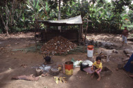 COPRA PRODUCTION, NIAFO OU ISLAND, TONGA, POLYNESIA