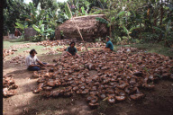 COPRA PRODUCTION, NIAFO OU ISLAND, TONGA, POLYNESIA