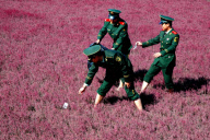 #(1)CHINA-LIAONING-RED BEACH-ENVIRONMENTAL PROTECTION (CN)