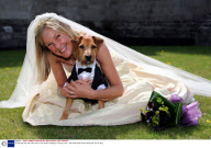 Ed the dog who was 'best man' at his owners wedding, Florence, Italy - Sep 2008