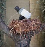 Village Pet Store and Grill