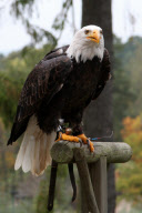 WILDPARK LUENEBURGER HEIDE