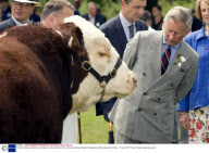 Prince Charles and Camilla, Duchess of Cornwall at the Three Counties Show, Malvern Showground, Worcestershire, Britain - 15 Jun 2007