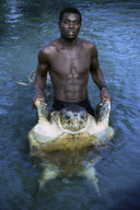 TURTLE, AQUARIUM, CAPITAL NASSAU, BAHAMAS