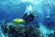 DIVE, SCOOTER, SAN SALVADOR, BAHAMAS