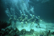 UNDERWATER WALK, HELMET DIVER, NASSAU, BAHAMAS