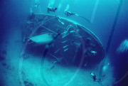 DIVE THEO'S WRECK, GRAND BAHAMA, BAHAMAS