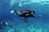 DIVER, BATMAN, SEVEN MILES BEACH WEST BAY, GRAND CAYMAN