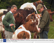 PRINCE WILLIAM AND PRINCE CHARLES WORKING AT HOME FARM, HIGHGROVE ESTATE, GLOUCESTERSHIRE, BRITAIN - 29 MAY 2004