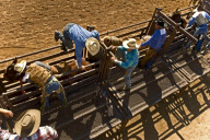 USA Senior Rodeo