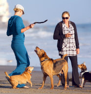 Charlize Theron and Mother Play With Dogs on the Beach