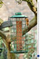 A mouse feeding from a 'squirrel-proof' Bird feeder, London, Britain - Oct 2008