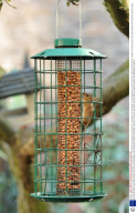 A mouse feeding from a 'squirrel-proof' Bird feeder, London, Britain - Oct 2008