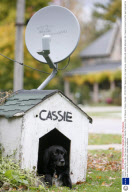 Cassie the Dog Sits in Her Dog House, Complete with Satellite Television Dish in Glencoe, Ontario, Canada - 25 Oct 2008