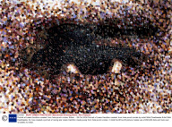 Portrait of Lewis Hamilton created  from hole punch circles, Britain  - 28 Oct 2008