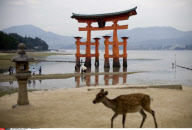 JAPAN: STREETS OF JAPAN