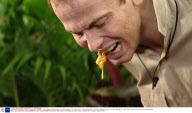 'I'm A Celebrity Get Me Out Of Here' TV Programme, Australia - 17 Nov 2008