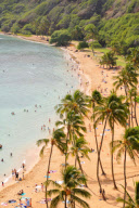 (2)US-HAWAII-FINANCIAL CRISIS-TOURISM-INFLUENCED