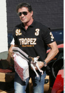 EXCL.: Actor SYLVESTER STALLONE got himself a Chihuahua