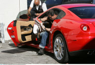 EXCL.: Actor SYLVESTER STALLONE got himself a Chihuahua