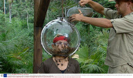 'I'm A Celebrity Get Me Out Of Here' TV Programme, Australia - 05 Dec 2008