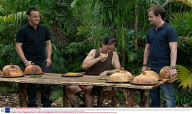 'I'm A Celebrity Get Me Out Of Here' TV Programme, Australia - 05 Dec 2008