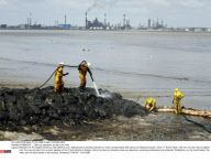 PAIMBOEUF :  Clean-up operation on the Loire river