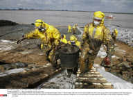 PAIMBOEUF :  Clean-up operation on the Loire river