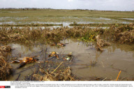 MYANMAR : Cyclone Nargis