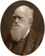 Charles Darwin, 1878.