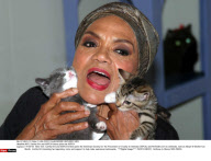NYC: Eartha Kitt and ASPCA kittens joins the ASPCA