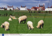 VARIOUS BRITAIN - MAY 2004