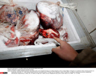 PENGZHOU: Animal Protection Activities In China