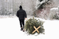 new onslaught of winter