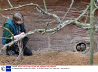 Annual stocktake at London Zoo, Britain - 08 Jan 2009
