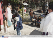 New Year good health blessing for pets at the Ichigaya Kamegaoka Hachimangu shrine, Tokyo, Japan  - 11 Jan 2009