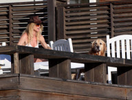 Nicollette Sheridan