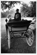 PRINCE OF BAVARIA, KONSTANTIN, *08.15.1920, +07.30.1969, GERMAN, ARISTOCRAT; NOBLEMAN, WITTELSBACHER, BUNDESTAG DELEGATE, CSU; POLITICS; GERMAN PARTY, HALF FIGURE, CARRIAGE, ENGLISCHER GARTEN, MUNICH, 1969, GERMANY