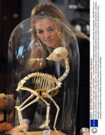 Bonhams Gentleman's library sale, London,Britain - 19 Jan 2009