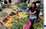 Chiapas, Mexico