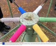 Yarnbombing, which involves people leaving knitted items on objects such as trees, lampposts and buses - Jan 2009